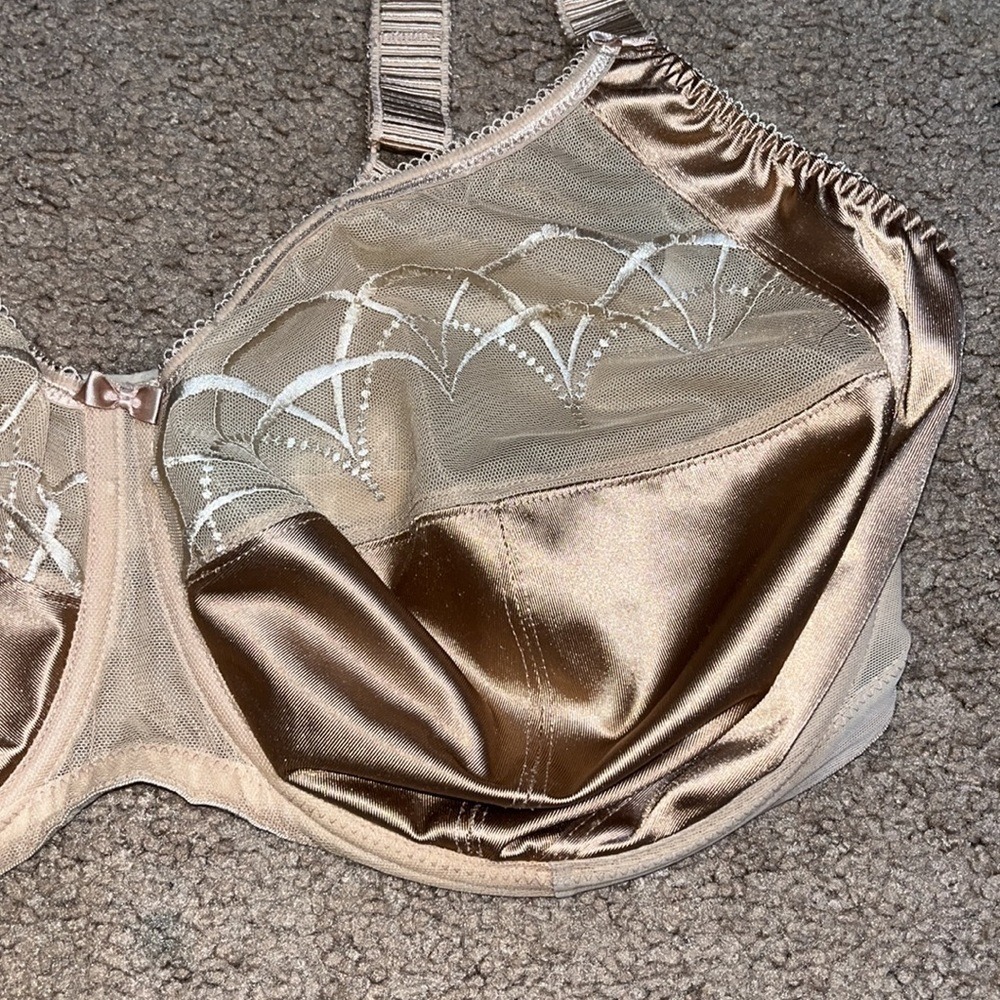 Elomi Cate Side Support Underwire Mesh Embroidered Satin Basic Hazel Bra 38L - Picture 5 of 8